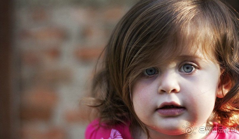 ГРУЗИЯ В ЛИЦАХ