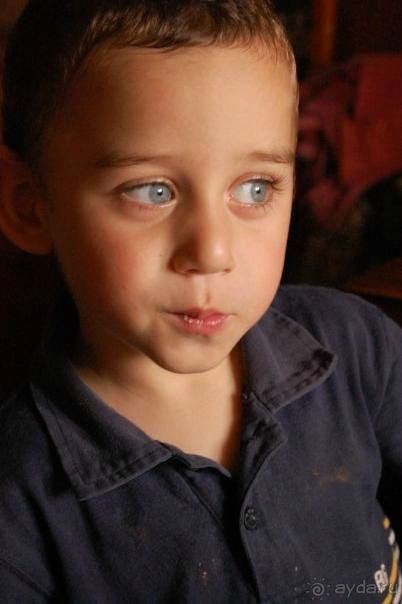 ГРУЗИЯ В ЛИЦАХ