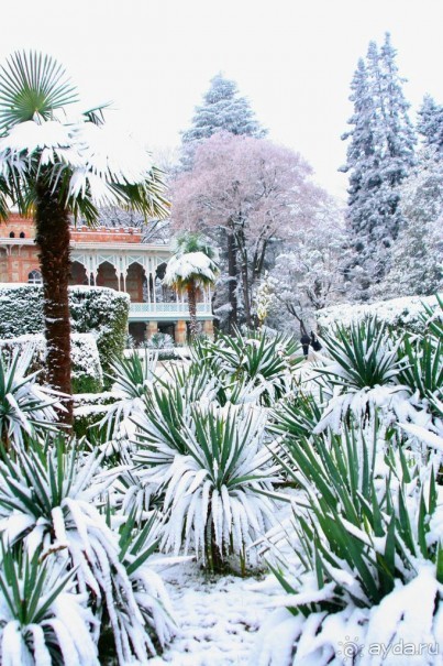 ГРУЗИЯ ЗИМОЙ