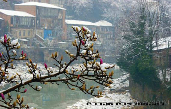 ГРУЗИЯ ЗИМОЙ