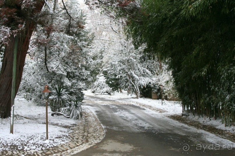 ГРУЗИЯ ЗИМОЙ