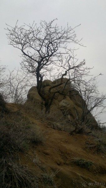 Альбом отзыва "ОТДЫХ ЗИМОЙ...СКУЧНО? ТОЛЬКО НЕ В ГРУЗИИ!!!"