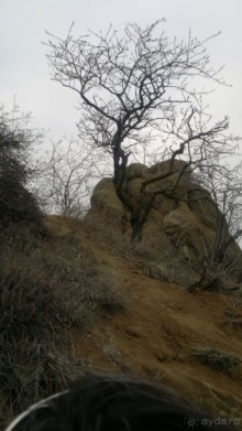 Альбом отзыва "ОТДЫХ ЗИМОЙ...СКУЧНО? ТОЛЬКО НЕ В ГРУЗИИ!!!"