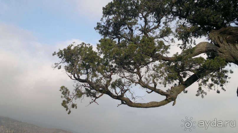 Альбом отзыва "ОТДЫХ ЗИМОЙ...СКУЧНО? ТОЛЬКО НЕ В ГРУЗИИ!!!"