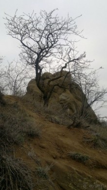 Альбом отзыва "ОТДЫХ ЗИМОЙ...СКУЧНО? ТОЛЬКО НЕ В ГРУЗИИ!!!"
