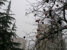 ОТДЫХ ЗИМОЙ...СКУЧНО? ТОЛЬКО НЕ В ГРУЗИИ!!!