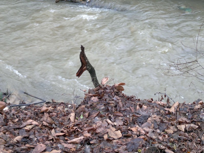 ОТДЫХ ЗИМОЙ...СКУЧНО? ТОЛЬКО НЕ В ГРУЗИИ!!!