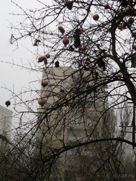 ОТДЫХ ЗИМОЙ...СКУЧНО? ТОЛЬКО НЕ В ГРУЗИИ!!!