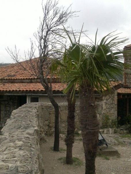 ОТДЫХ ЗИМОЙ...СКУЧНО? ТОЛЬКО НЕ В ГРУЗИИ!!!