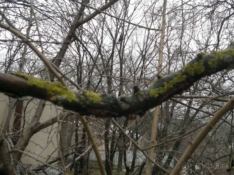 ОТДЫХ ЗИМОЙ...СКУЧНО? ТОЛЬКО НЕ В ГРУЗИИ!!!