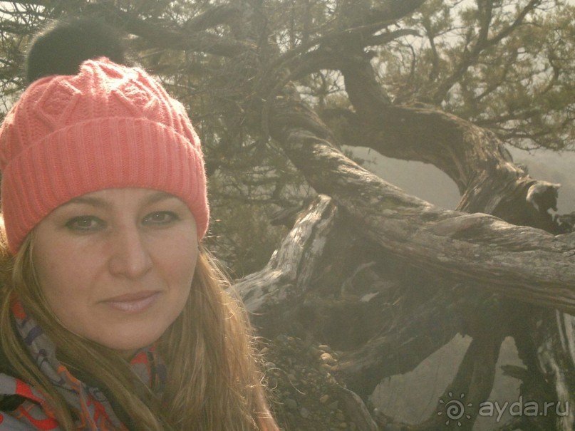 ОТДЫХ ЗИМОЙ...СКУЧНО? ТОЛЬКО НЕ В ГРУЗИИ!!!