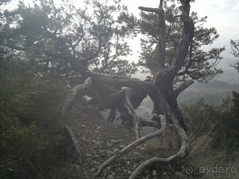 ОТДЫХ ЗИМОЙ...СКУЧНО? ТОЛЬКО НЕ В ГРУЗИИ!!!