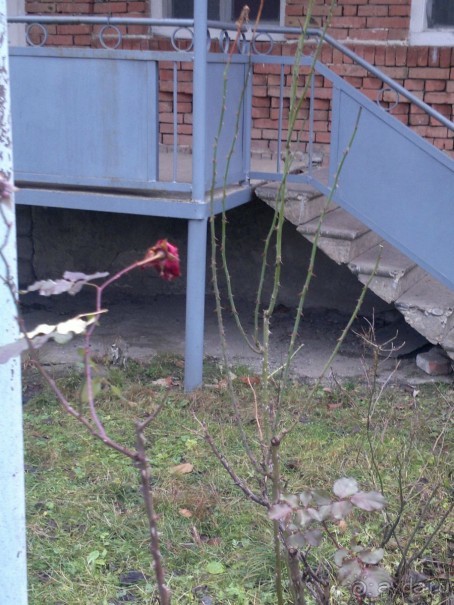 ОТДЫХ ЗИМОЙ...СКУЧНО? ТОЛЬКО НЕ В ГРУЗИИ!!!