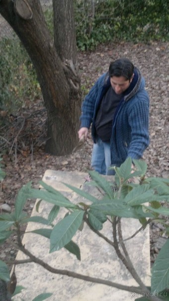 ОТДЫХ ЗИМОЙ...СКУЧНО? ТОЛЬКО НЕ В ГРУЗИИ!!!