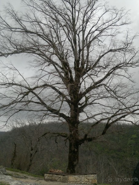 ОТДЫХ ЗИМОЙ...СКУЧНО? ТОЛЬКО НЕ В ГРУЗИИ!!!