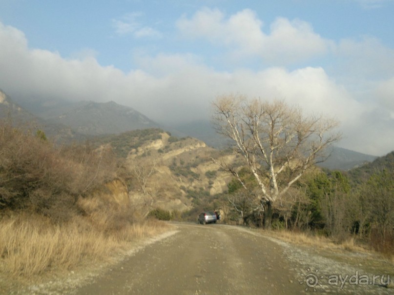 ОТДЫХ ЗИМОЙ...СКУЧНО? ТОЛЬКО НЕ В ГРУЗИИ!!!