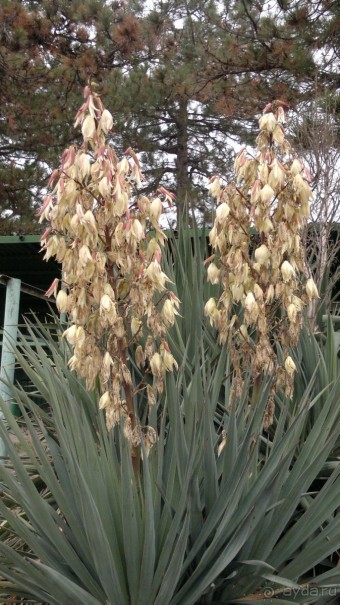 ОТДЫХ ЗИМОЙ...СКУЧНО? ТОЛЬКО НЕ В ГРУЗИИ!!!