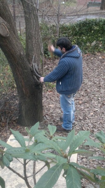 ОТДЫХ ЗИМОЙ...СКУЧНО? ТОЛЬКО НЕ В ГРУЗИИ!!!