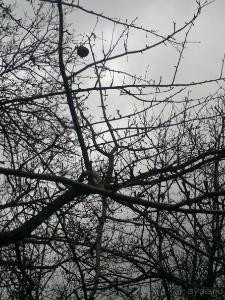 ОТДЫХ ЗИМОЙ...СКУЧНО? ТОЛЬКО НЕ В ГРУЗИИ!!!