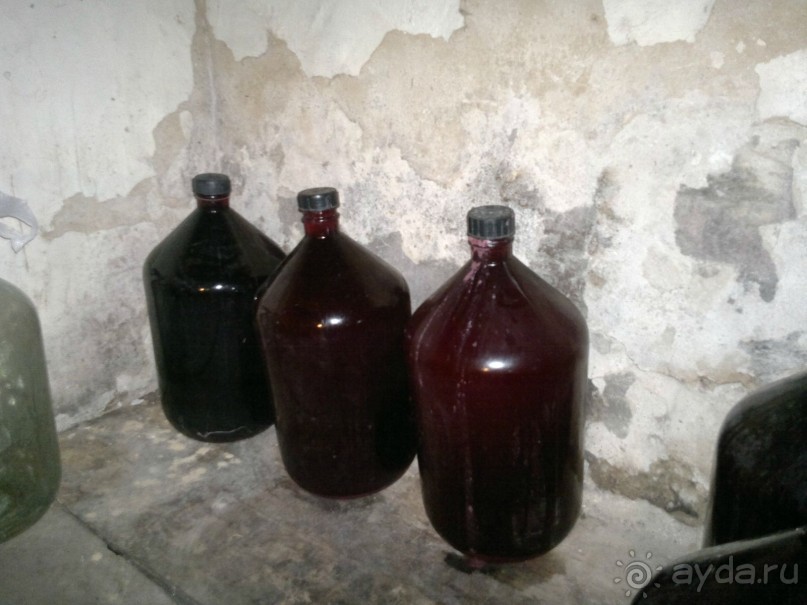 ОТДЫХ ЗИМОЙ...СКУЧНО? ТОЛЬКО НЕ В ГРУЗИИ!!!