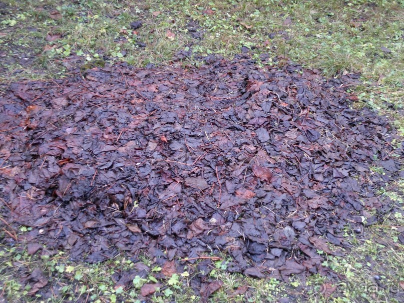 ОТДЫХ ЗИМОЙ...СКУЧНО? ТОЛЬКО НЕ В ГРУЗИИ!!!