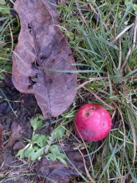 ОТДЫХ ЗИМОЙ...СКУЧНО? ТОЛЬКО НЕ В ГРУЗИИ!!!
