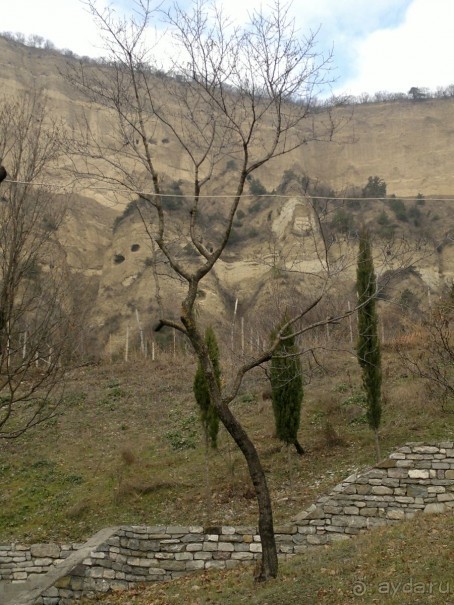 ОТДЫХ ЗИМОЙ...СКУЧНО? ТОЛЬКО НЕ В ГРУЗИИ!!!