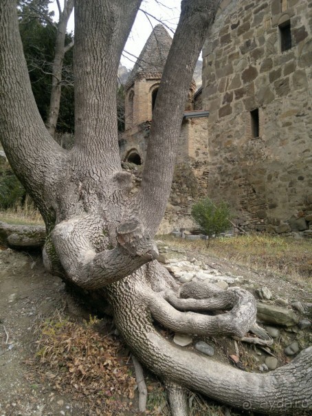 ОТДЫХ ЗИМОЙ...СКУЧНО? ТОЛЬКО НЕ В ГРУЗИИ!!!