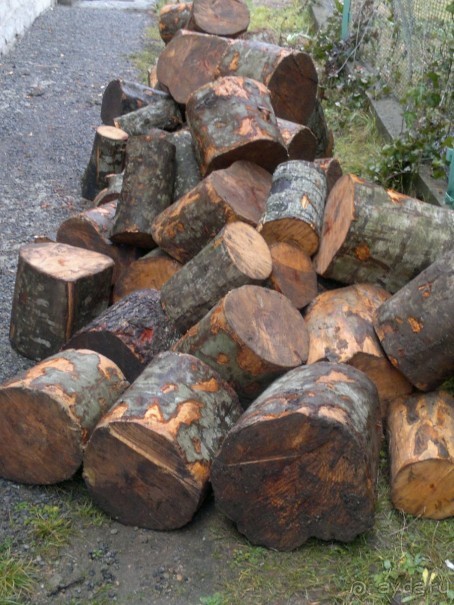 ОТДЫХ ЗИМОЙ...СКУЧНО? ТОЛЬКО НЕ В ГРУЗИИ!!!