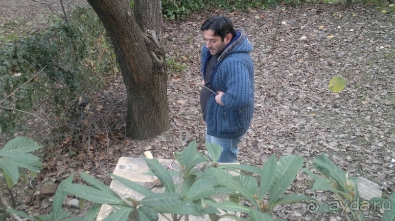 ОТДЫХ ЗИМОЙ...СКУЧНО? ТОЛЬКО НЕ В ГРУЗИИ!!!