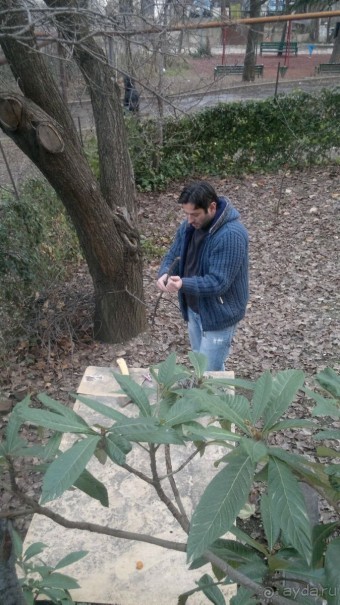 ОТДЫХ ЗИМОЙ...СКУЧНО? ТОЛЬКО НЕ В ГРУЗИИ!!!