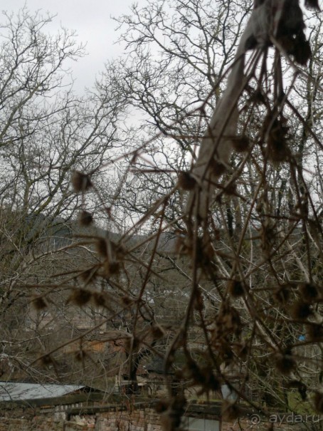 ОТДЫХ ЗИМОЙ...СКУЧНО? ТОЛЬКО НЕ В ГРУЗИИ!!!