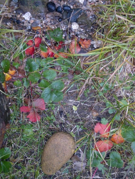 ОТДЫХ ЗИМОЙ...СКУЧНО? ТОЛЬКО НЕ В ГРУЗИИ!!!