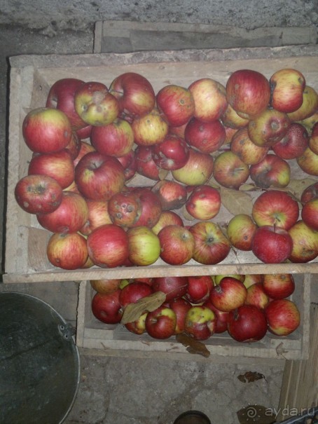 ОТДЫХ ЗИМОЙ...СКУЧНО? ТОЛЬКО НЕ В ГРУЗИИ!!!