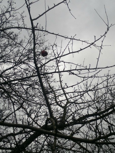 ОТДЫХ ЗИМОЙ...СКУЧНО? ТОЛЬКО НЕ В ГРУЗИИ!!!