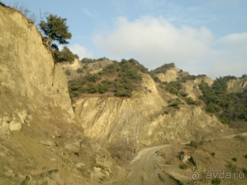 ОТДЫХ ЗИМОЙ...СКУЧНО? ТОЛЬКО НЕ В ГРУЗИИ!!!