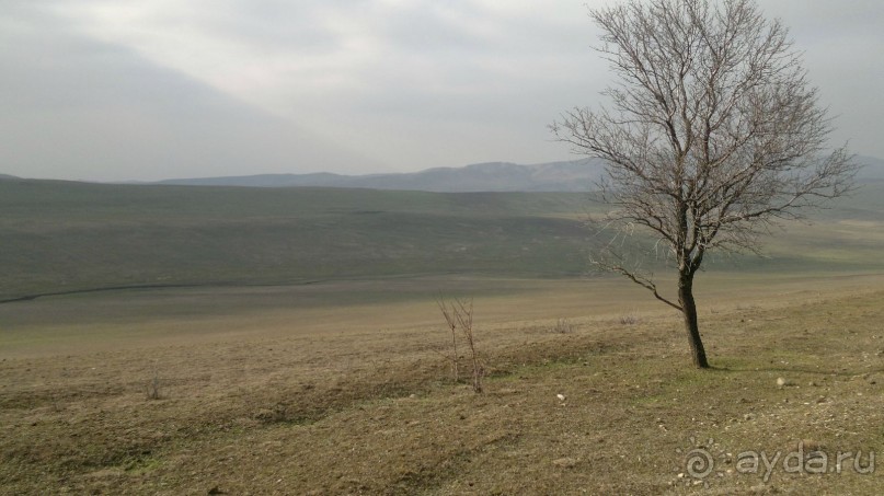 ОТДЫХ ЗИМОЙ...СКУЧНО? ТОЛЬКО НЕ В ГРУЗИИ!!!