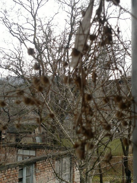 ОТДЫХ ЗИМОЙ...СКУЧНО? ТОЛЬКО НЕ В ГРУЗИИ!!!