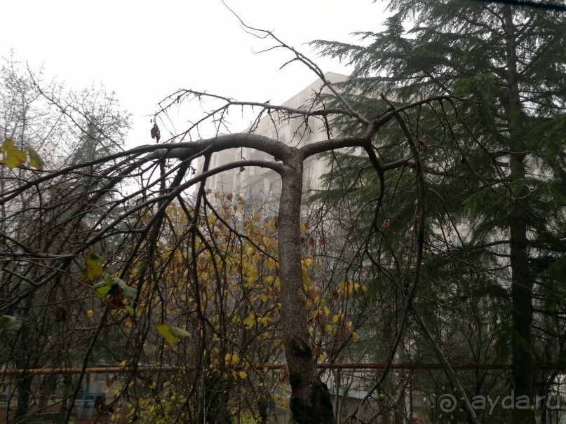 ОТДЫХ ЗИМОЙ...СКУЧНО? ТОЛЬКО НЕ В ГРУЗИИ!!!