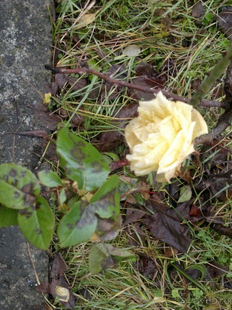 ОТДЫХ ЗИМОЙ...СКУЧНО? ТОЛЬКО НЕ В ГРУЗИИ!!!