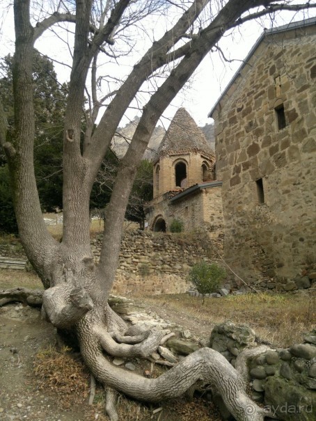 ОТДЫХ ЗИМОЙ...СКУЧНО? ТОЛЬКО НЕ В ГРУЗИИ!!!