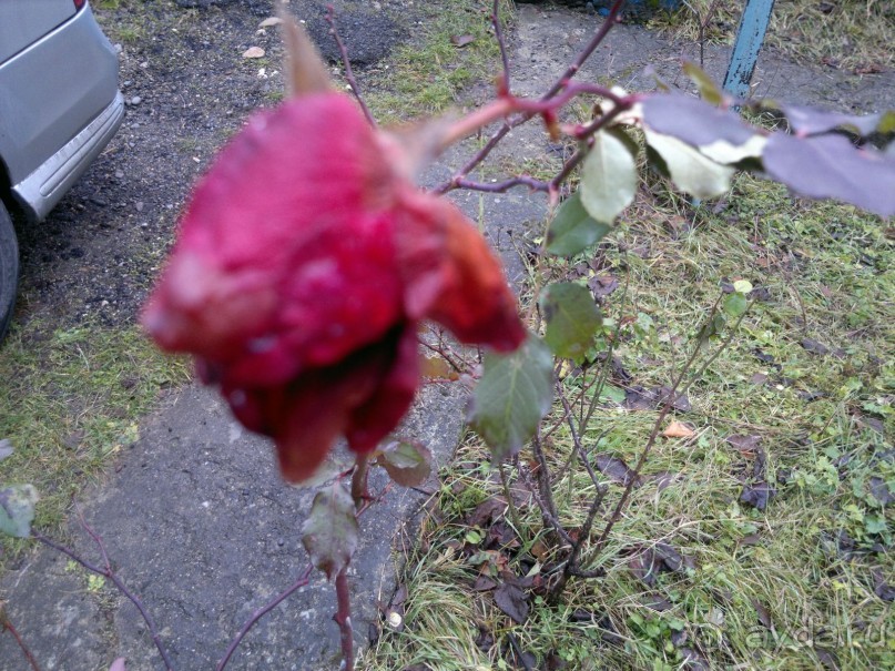 ОТДЫХ ЗИМОЙ...СКУЧНО? ТОЛЬКО НЕ В ГРУЗИИ!!!