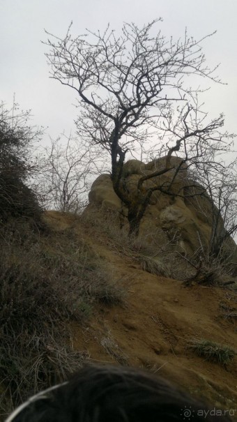 ОТДЫХ ЗИМОЙ...СКУЧНО? ТОЛЬКО НЕ В ГРУЗИИ!!!