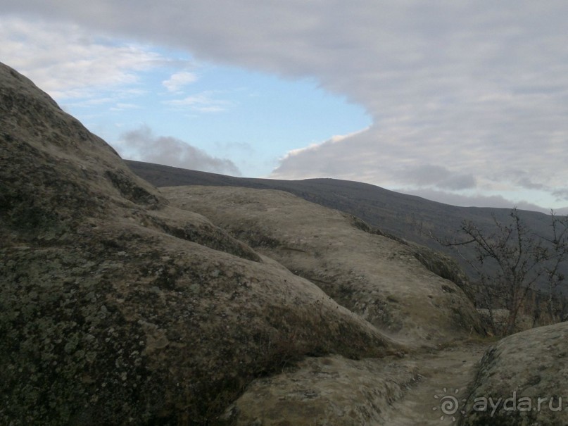 ОТДЫХ ЗИМОЙ...СКУЧНО? ТОЛЬКО НЕ В ГРУЗИИ!!!