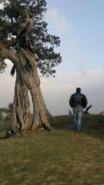 ОТДЫХ ЗИМОЙ...СКУЧНО? ТОЛЬКО НЕ В ГРУЗИИ!!!