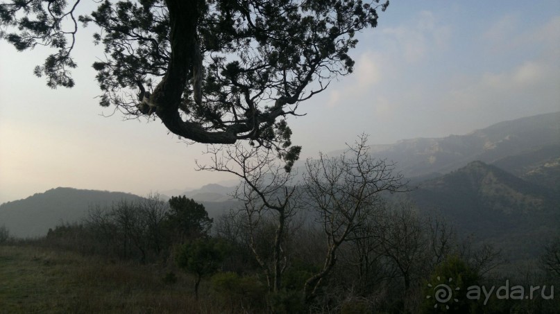 ОТДЫХ ЗИМОЙ...СКУЧНО? ТОЛЬКО НЕ В ГРУЗИИ!!!