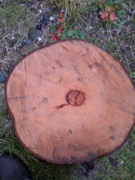 ОТДЫХ ЗИМОЙ...СКУЧНО? ТОЛЬКО НЕ В ГРУЗИИ!!!