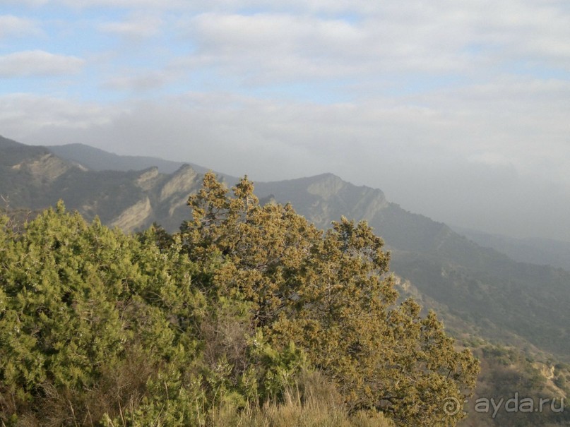 ОТДЫХ ЗИМОЙ...СКУЧНО? ТОЛЬКО НЕ В ГРУЗИИ!!!
