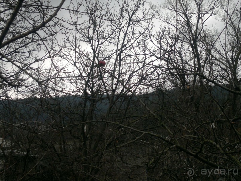 ОТДЫХ ЗИМОЙ...СКУЧНО? ТОЛЬКО НЕ В ГРУЗИИ!!!