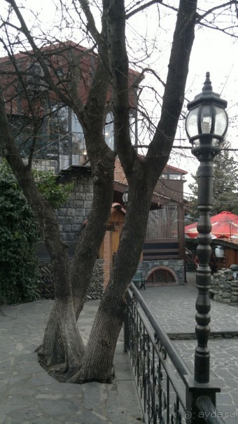 ОТДЫХ ЗИМОЙ...СКУЧНО? ТОЛЬКО НЕ В ГРУЗИИ!!!